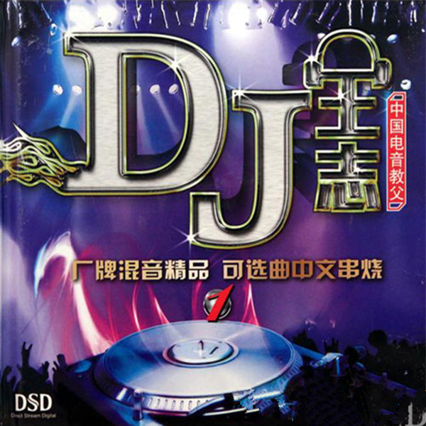 dj王志混音hifi级精品《可选曲中文串烧》-wav-120