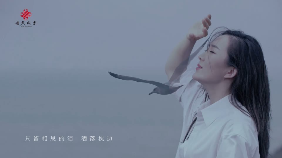 e630.龙梅子 - 海鸥飞-[113m.mp4-1080p].mp4_20190525_085014.837.