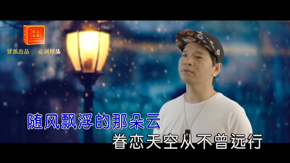 冷漠_痴心的痴情.(KTV版.可消音).481M.mpg.1080P