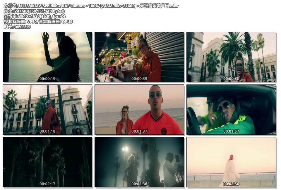 N138.4KMV-Senidah x RAF Camora - 100%-[246M.mkv-2160P] - 无损音乐美声网.mkv.jpg