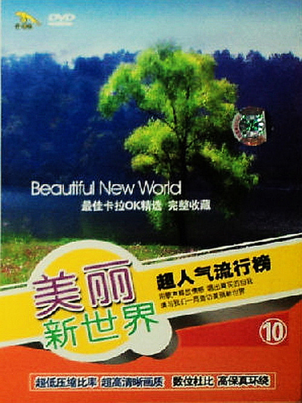 非常稀有的5.1声道卡拉OK光碟 [经典影像DVD]-《美丽新世界  第10辑》-[5.1声道-DTS-ISO]-A176.jpg
