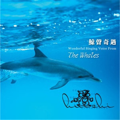 大自然音乐系列-一望无际的海洋，鲸的舞影相伴著船只远航《鲸声奇遇》-WAV-444