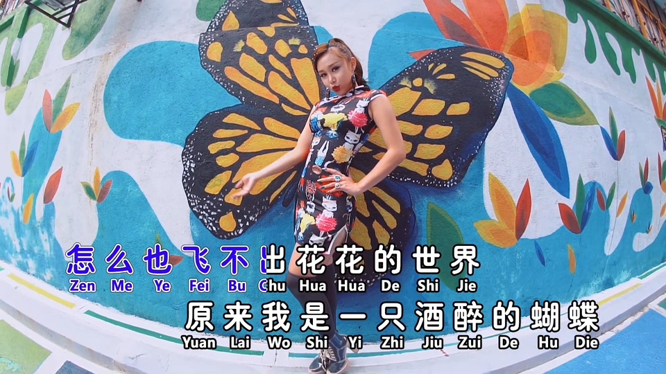 依林Yi Lin _ 酒醉的蝴蝶（慢摇版）.124M.mp4.1080P