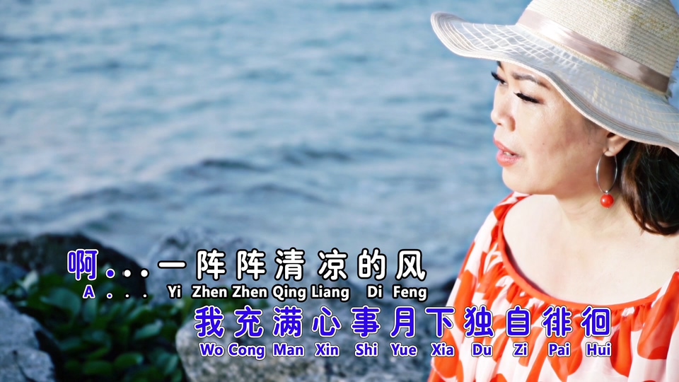 欧俪雯_伊人何处.93M.mp4.1080P
