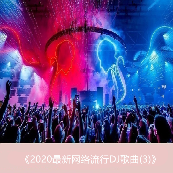 推荐2020年最新网络流行DJ歌曲 群星《2020最新网络流行DJ歌曲(3)》-WAV-341.jpg