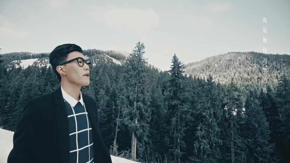 洪杰 _ 囚鸟.106M.mp4.1080P