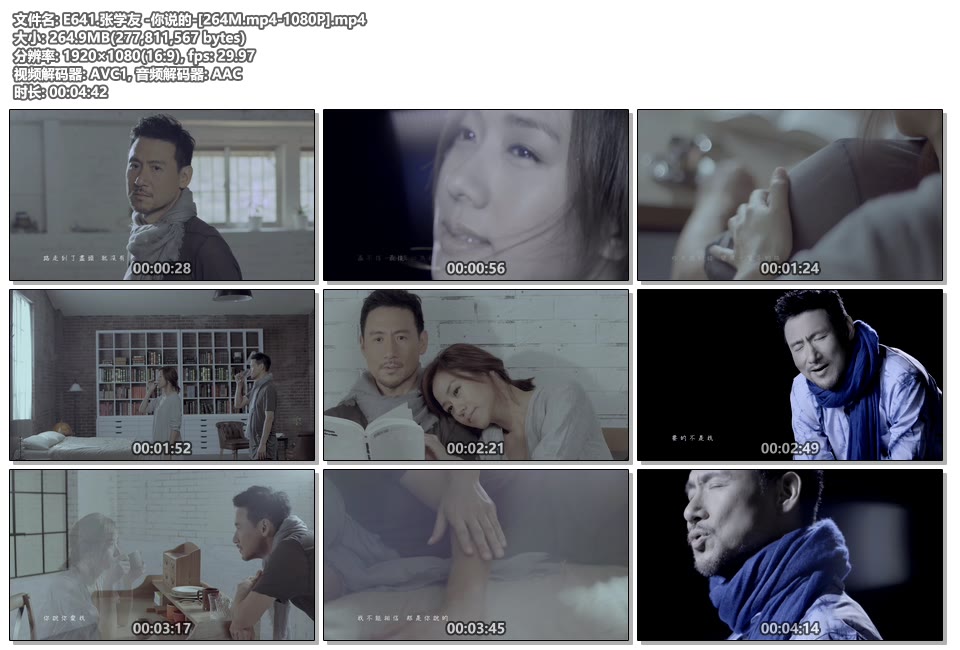 张学友 _你说的_1080P高清MP4下载