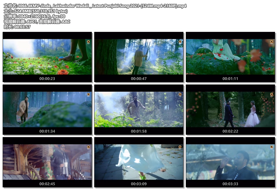 I066.4KMV-Jinde_ Lakhwinder Wadali _ Latest Punjabi Song 2021-[524M.mp4-2160P].mp4.jpg