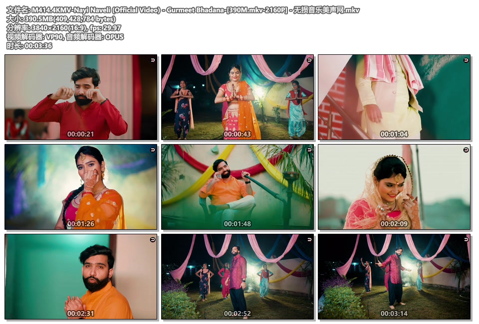 M414.4KMV-Nayi Naveli (Official Video) - Gurmeet Bhadana-[390M.mkv-2160P] - 无损音乐美声网.mkv.jpg