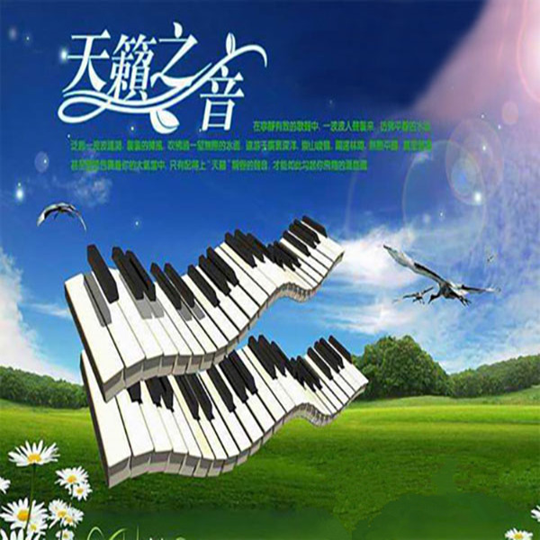 无损音乐美声网