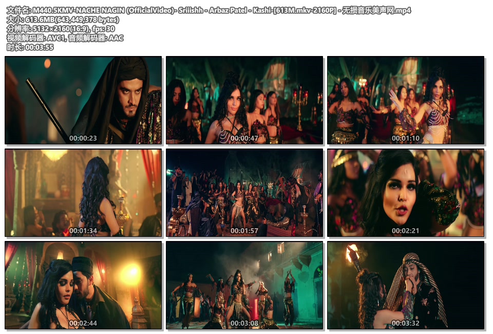 M440.5KMV-NACHE NAGIN (OfficialVideo)- Sriiishh - Arbaz Patel - Kashi-[613M.mkv-2160P] - 无损音乐美声网.jpg