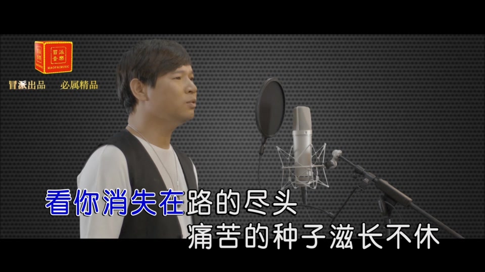冷漠_我心深处.(KTV版.可消音).523M.mpg.1080P