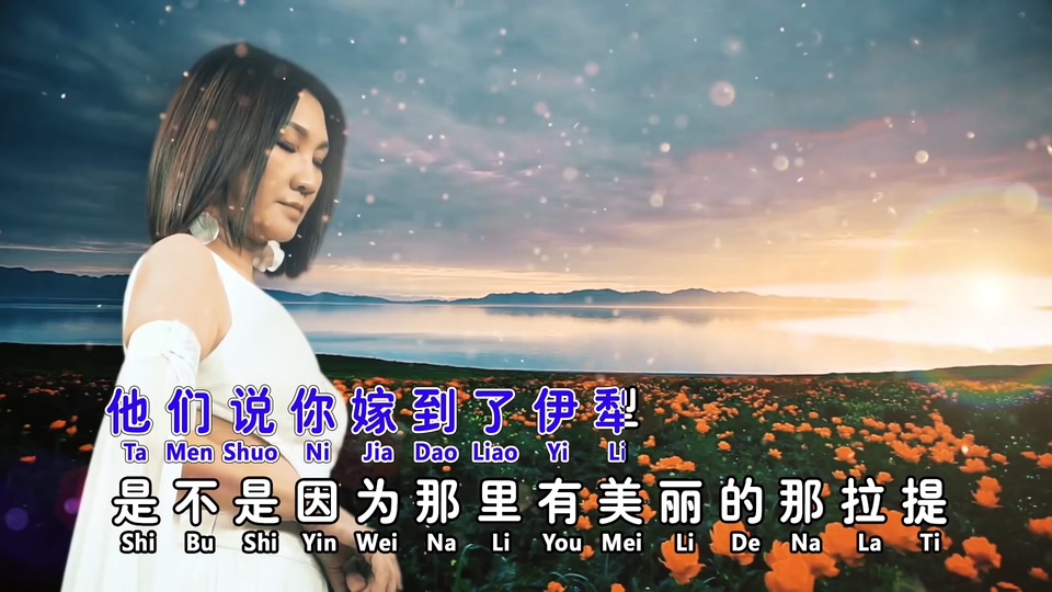 陈丽媚 _ 可可托海的牧羊人.131M.mp4.1080P
