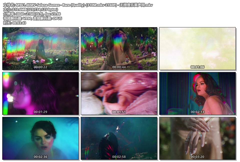M961.4KMV-Selena Gomez - Rare (Quality)-[310M.mkv-2160P] - 无损音乐美声网.mkv.jpg