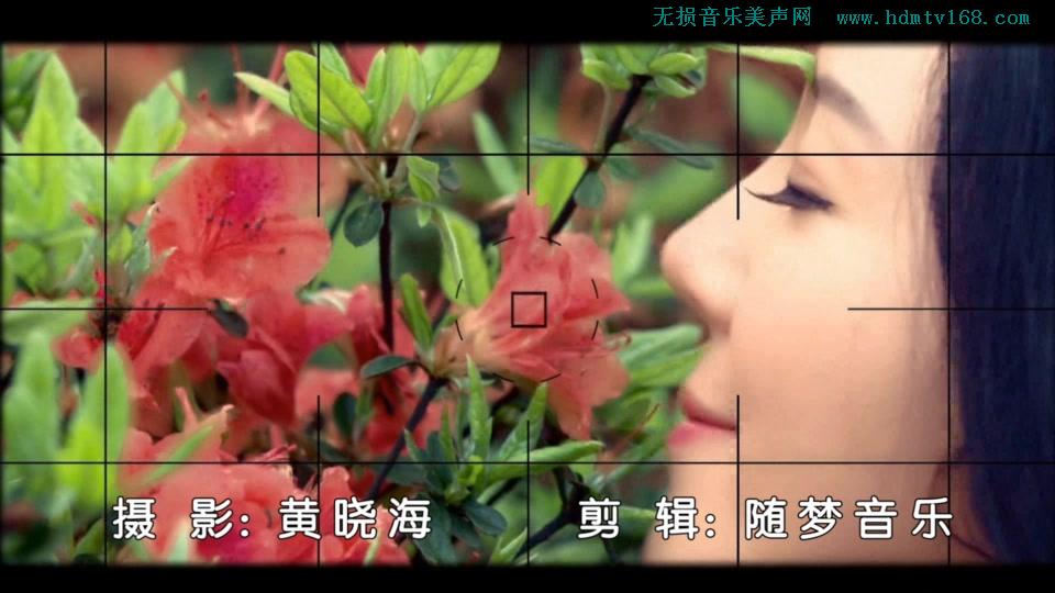 安东阳vs时嘉_红尘蝶恋.(KTV版本.可消音).547M.mpg.1080P