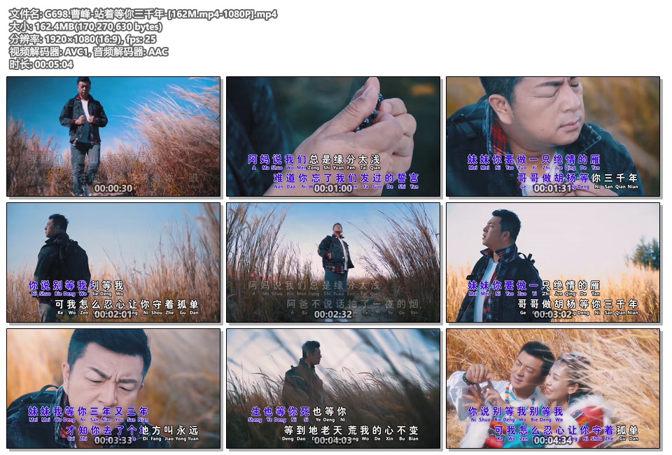 曹峰_站着等你三千年_1080P高清MP4下载|百度网盘下载