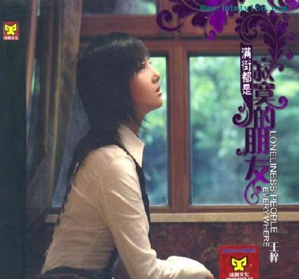 王梓《满街都是寂寞的朋友》.jpg