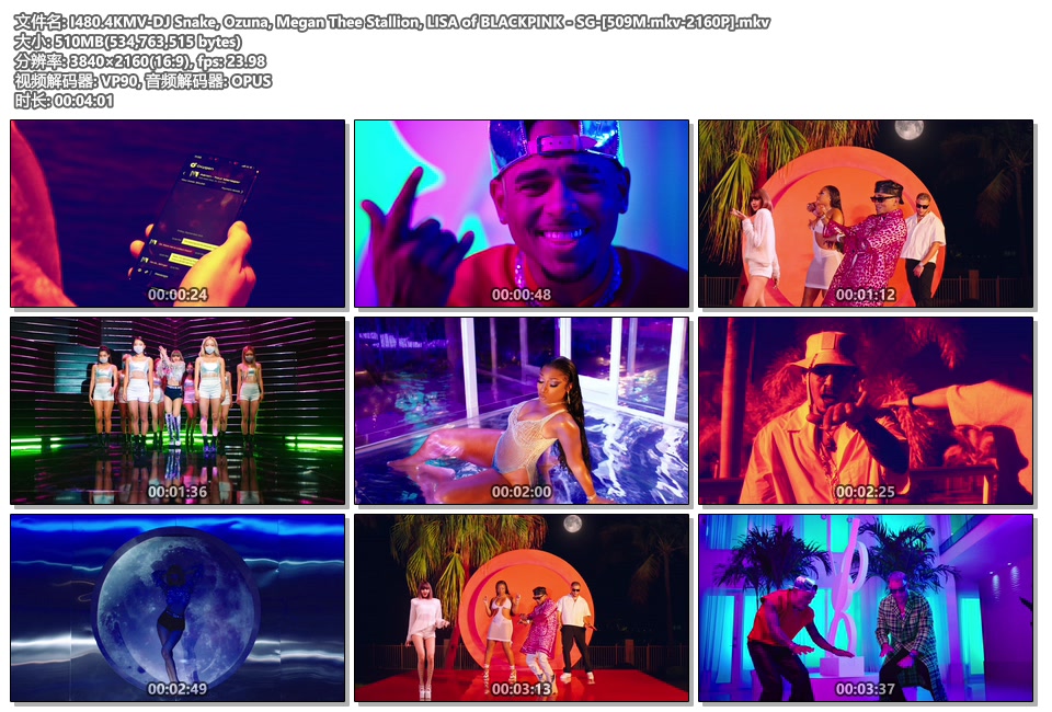 I480.4KMV-DJ Snake, Ozuna, Megan Thee Stallion, LISA of BLACKPINK - SG-[509M.mkv-2160P].mkv.jpg