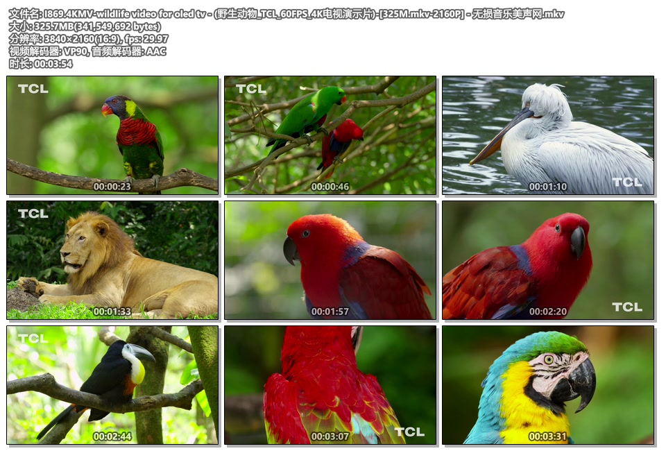 I869.4KMV-wildlife video for oled tv - (野生动物_TCL_60FPS_4K电视演示片)-[325M.mkv-2160P] - 无损音乐美声网.mkv.jpg