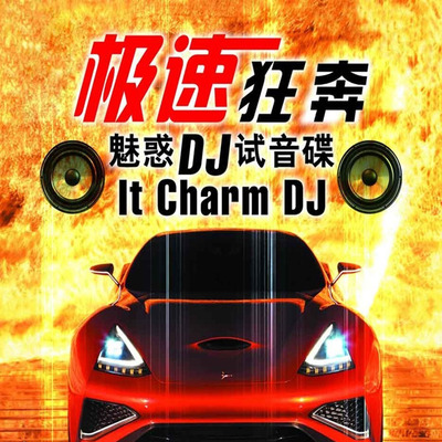迪厅专享版《极速狂奔·魅惑DJ试音碟》-WAV-294