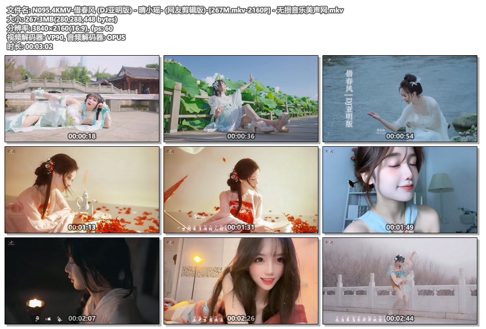 N095.4KMV-借春风 (DJ亚明版) - 晴小瑶- (网友剪辑版)-[267M.mkv-2160P] - 无损音乐美声网.mkv.jpg