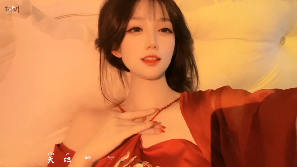 N095.4KMV-借春风 (DJ亚明版) - 晴小瑶- (网友剪辑版)-[267M.mkv-2160P] - 无损音乐美声网.mkv_20241206_030223.876.jpg