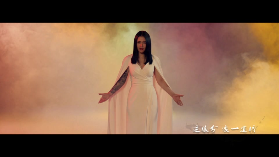 谭维维、王力宏 _ 缘分一道桥.140M.mp4.1080P
