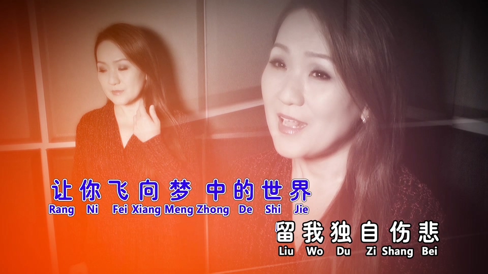 刘燕燕_遗憾.131M.mp4.1080P