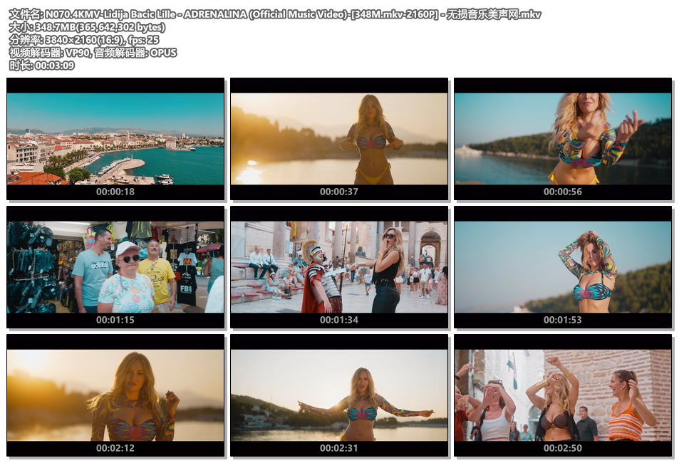N070.4KMV-Lidija Bacic Lille - ADRENALINA (Official Music Video)-[348M.mkv-2160P] - 无损音乐美声网.mkv.jpg