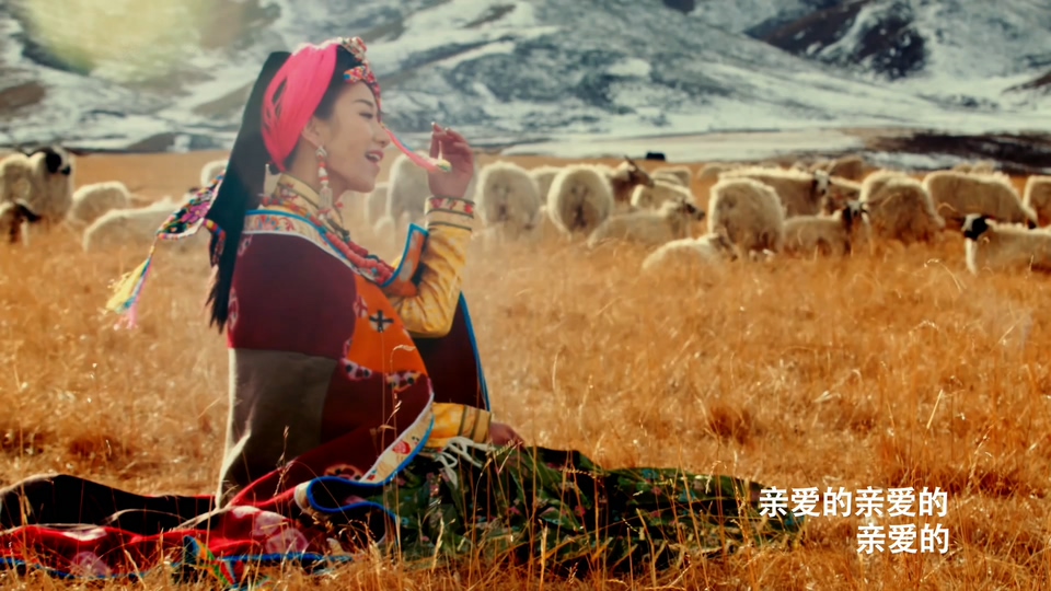 遇上你是我的缘_丹巴旺姆.115M.mp4.1080P