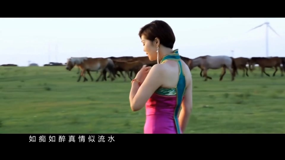 苏勒亚其其格 _ 歌在飞.90M.mp4.720P