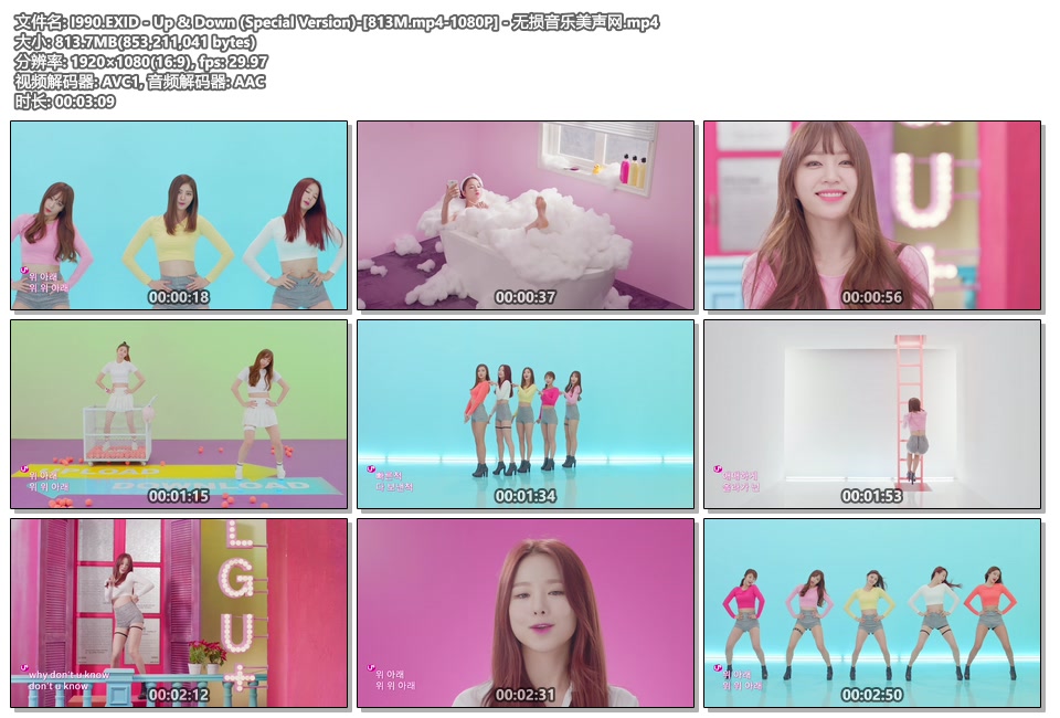 I990.EXID - Up & Down (Special Version)-[813M.mp4-1080P] - 无损音乐美声网.mp4.jpg