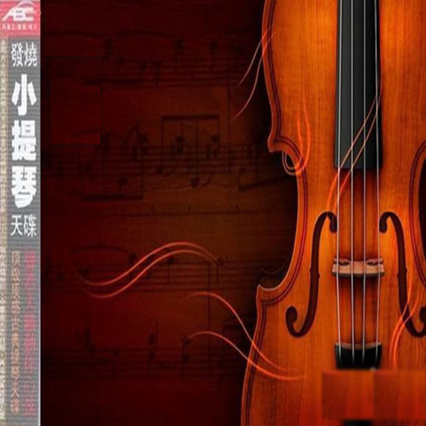 《发烧小提琴》-wav-203专辑简介:声音极具穿透力.
