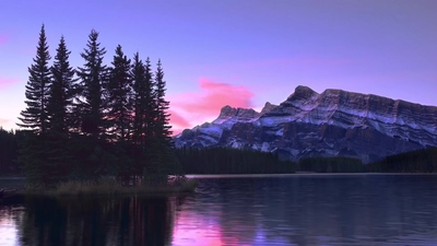 4KMV-wonderworld for samsung qled tv - (仙境_三星电视_4K演示片)-[477M.mkv-2160P]