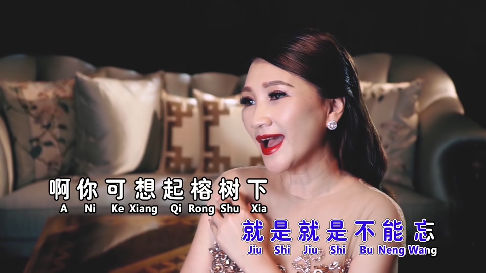 陈丽媚_榕树下.110M.mp4.1080P
