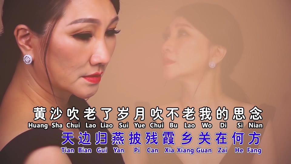 陈丽媚_梦驼铃.89M.mp4.1080P