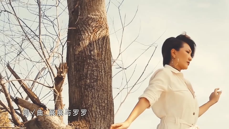 沙漠骆驼_陈丽媚.80M.mp4.720P