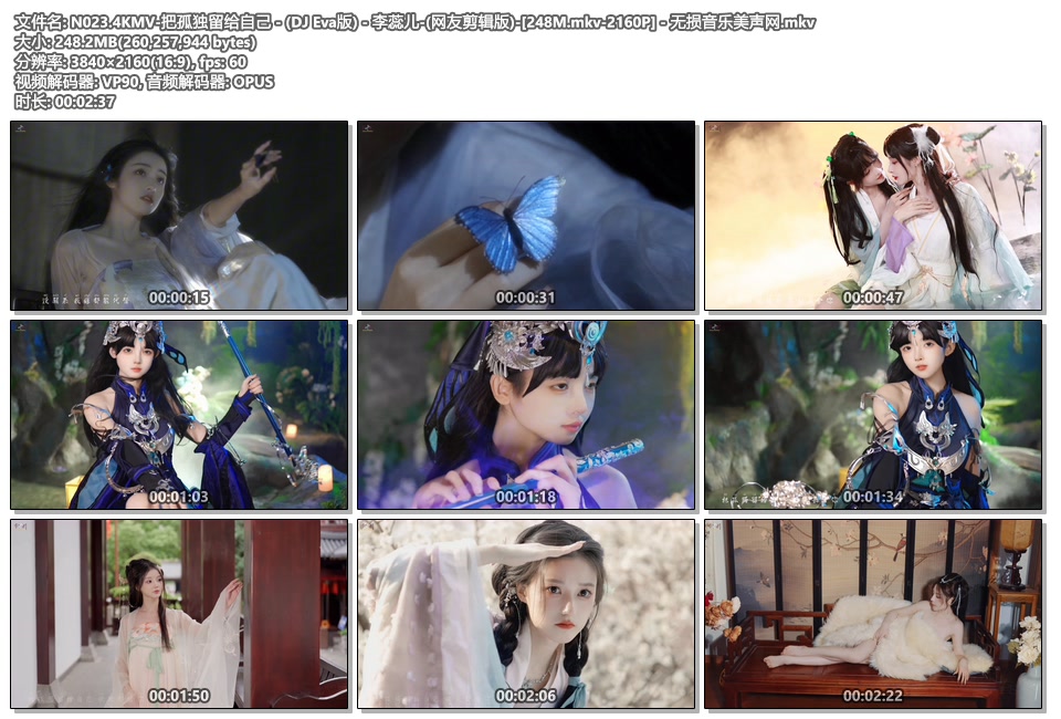 N023.4KMV-把孤独留给自己 - (DJ Eva版) - 李蕊儿-(网友剪辑版)-[248M.mkv-2160P] - 无损音乐美声网.mkv.jpg